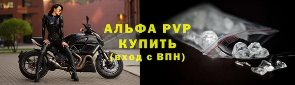 ПСИЛОЦИБИНОВЫЕ ГРИБЫ Белокуриха