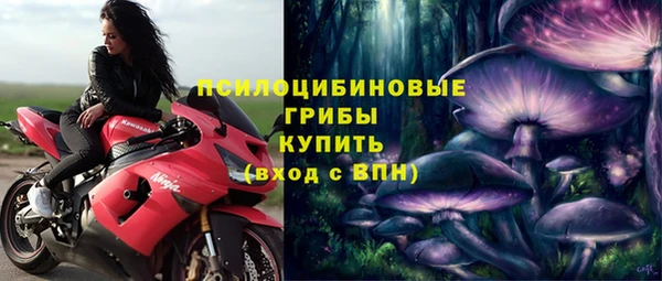 ПСИЛОЦИБИНОВЫЕ ГРИБЫ Белокуриха