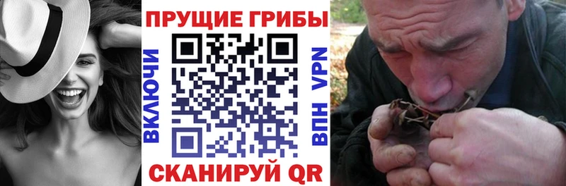 Галлюциногенные грибы мухоморы Медынь